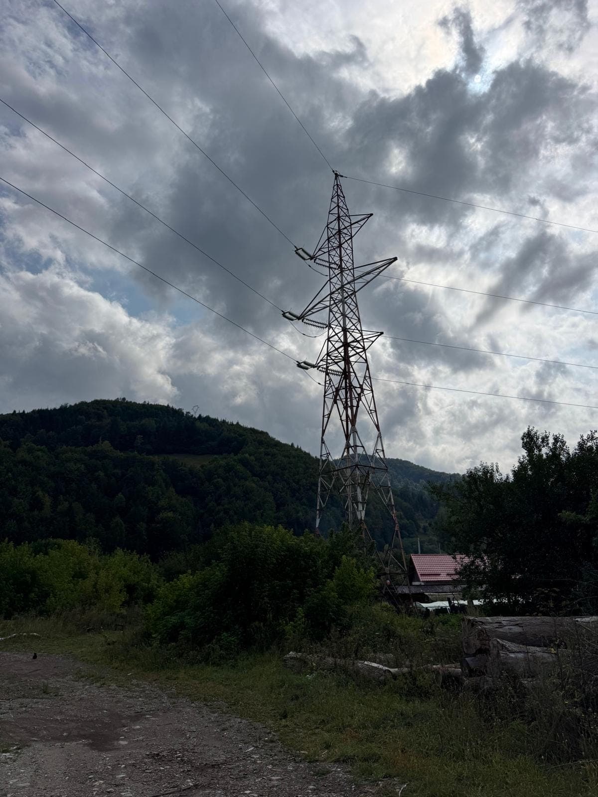 From the field