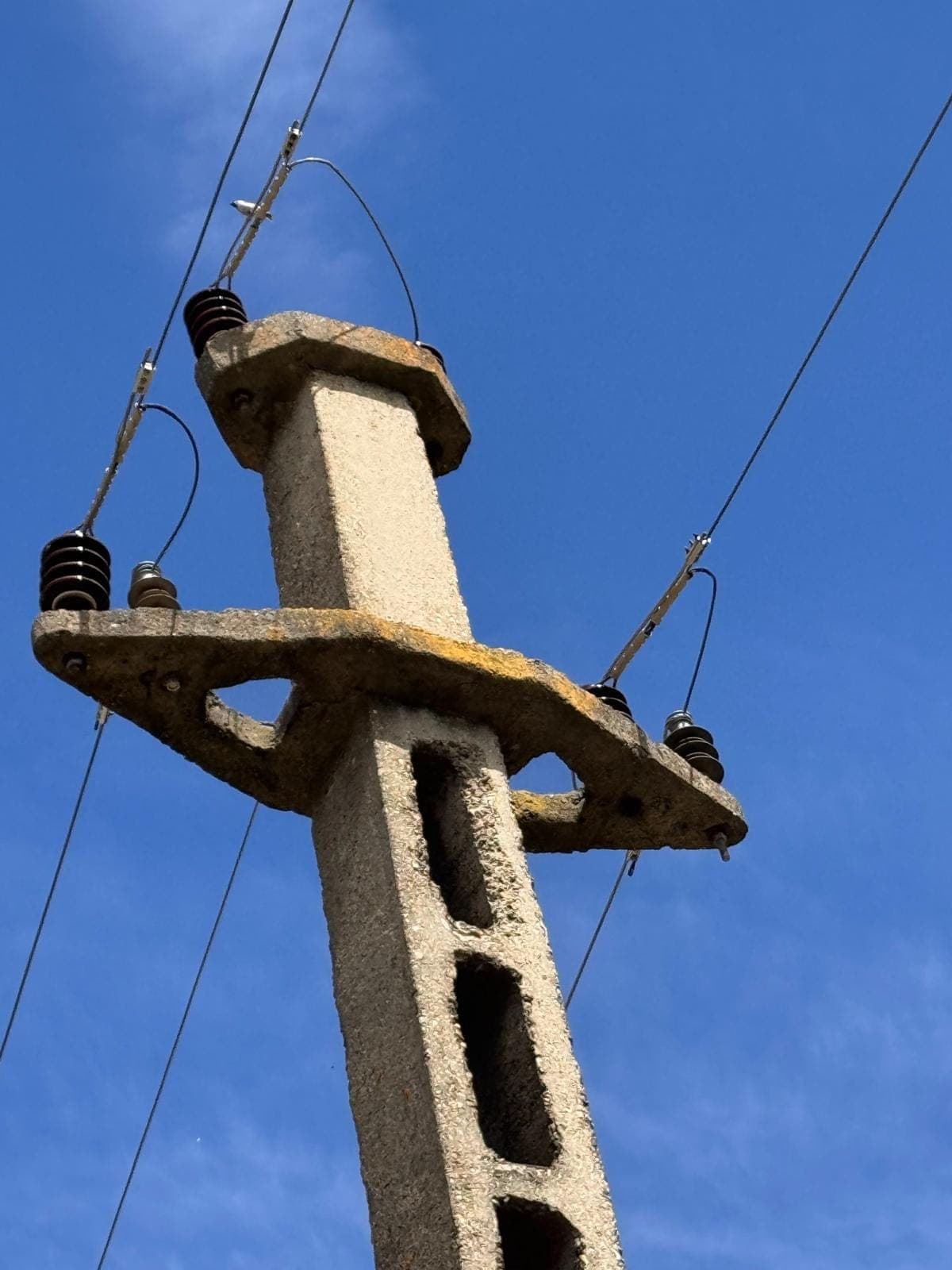 From the field
