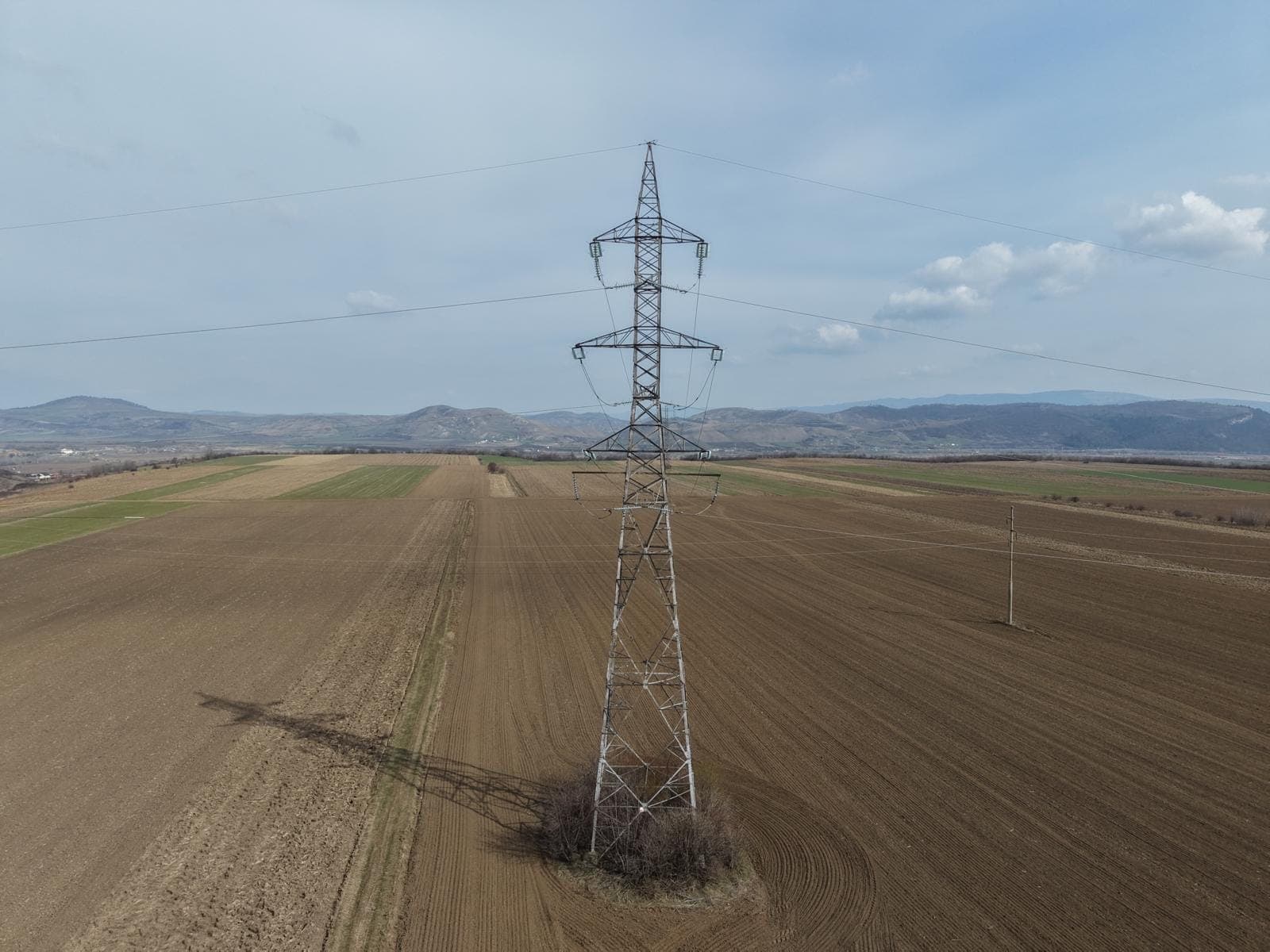 From the field