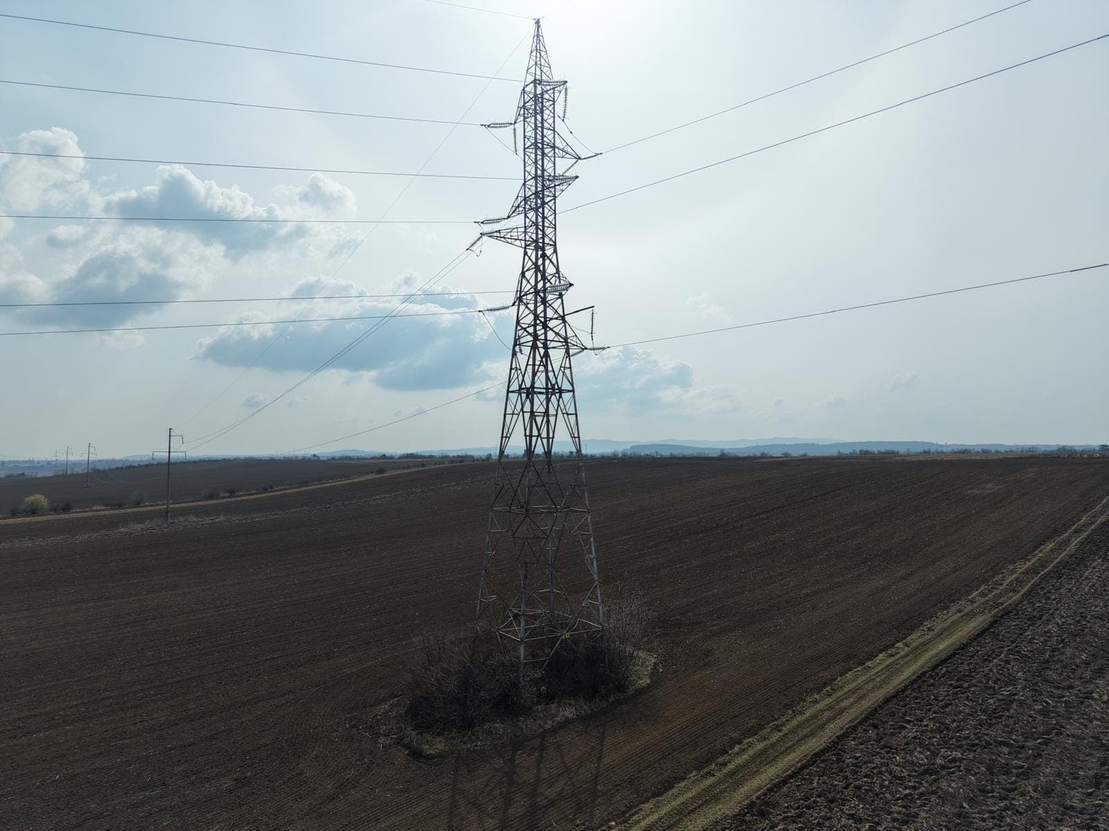 From the field