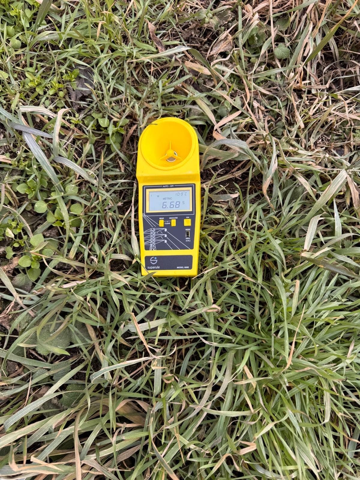 From the field