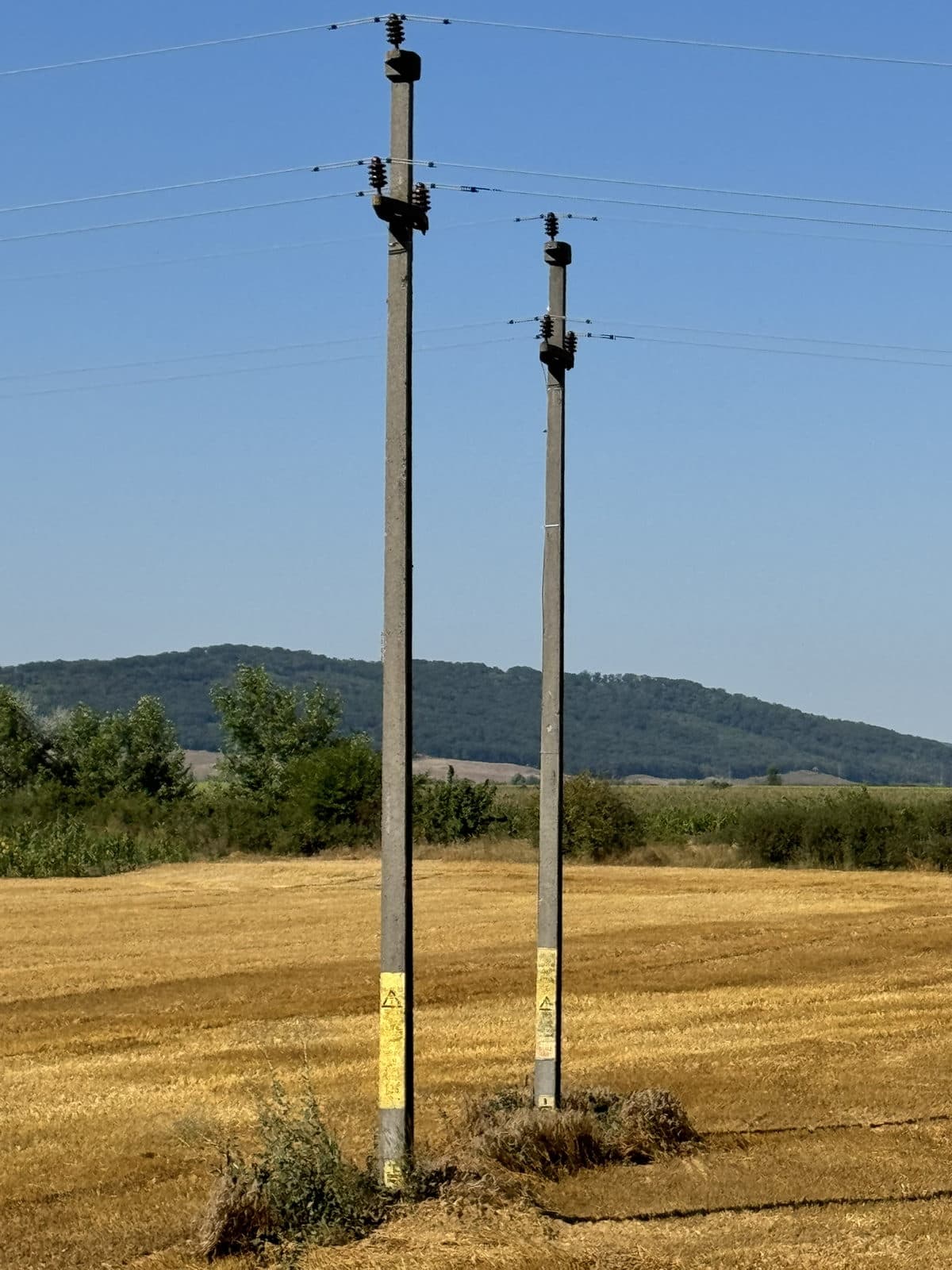 From the field