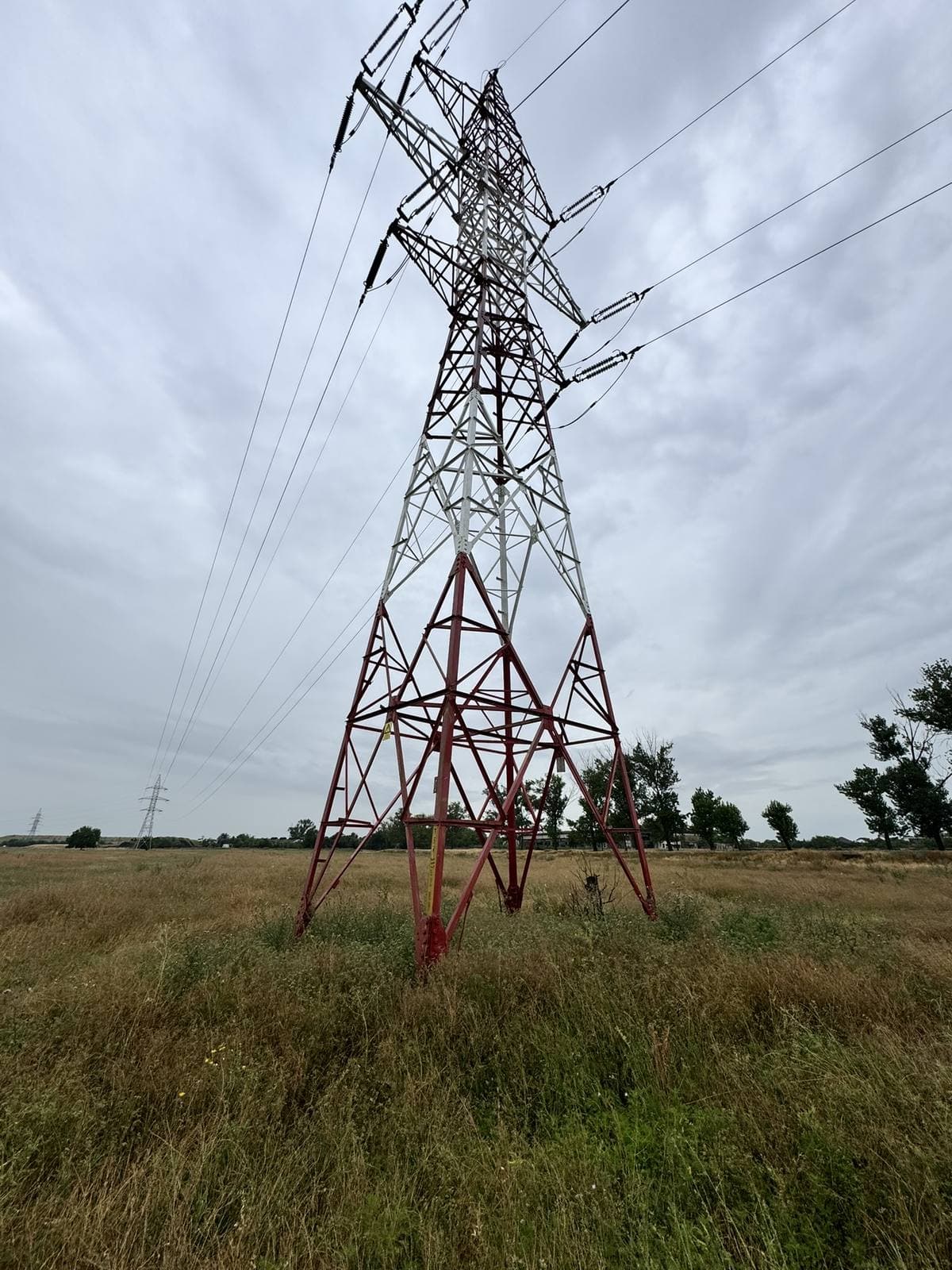 From the field